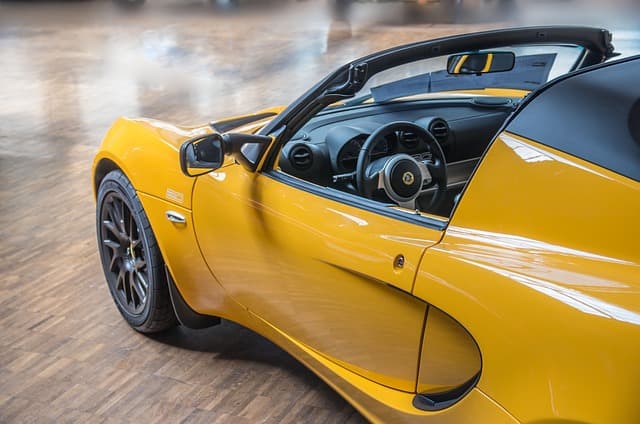 lotus
